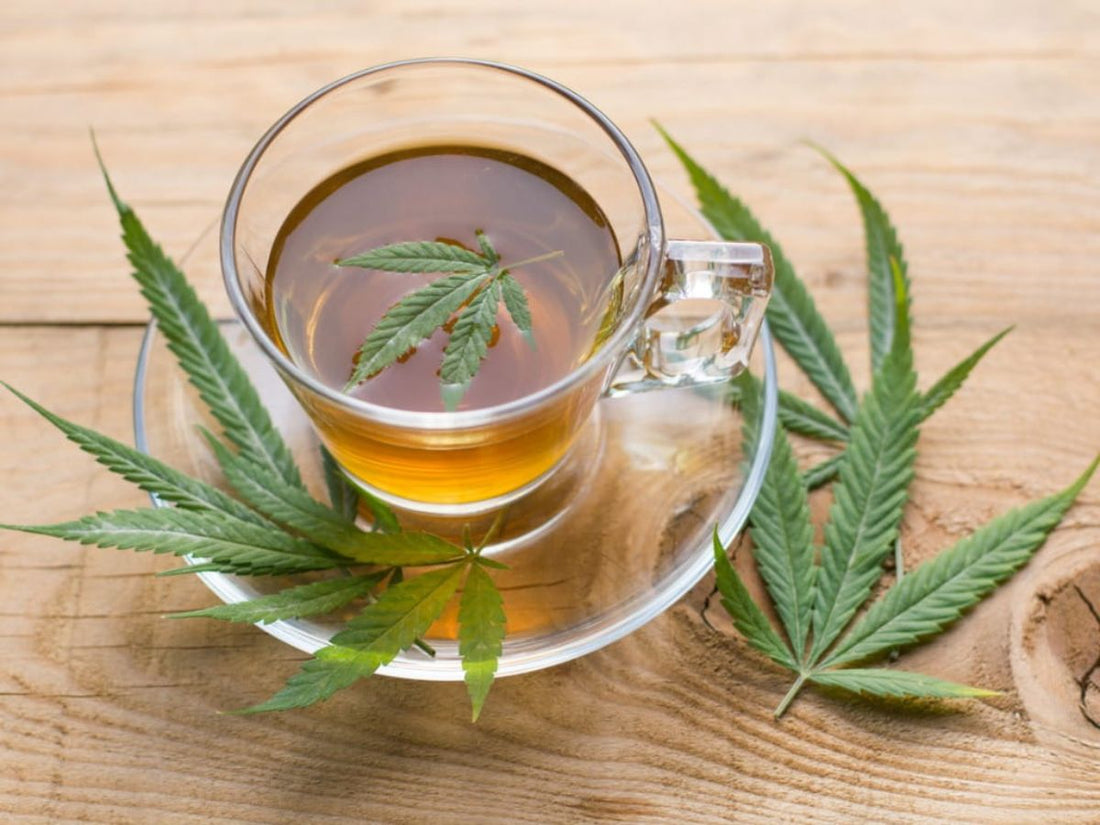 cannabis leaf tea