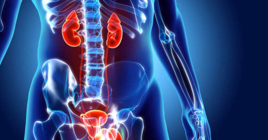 what is the best ayurvedic medicine for prostate