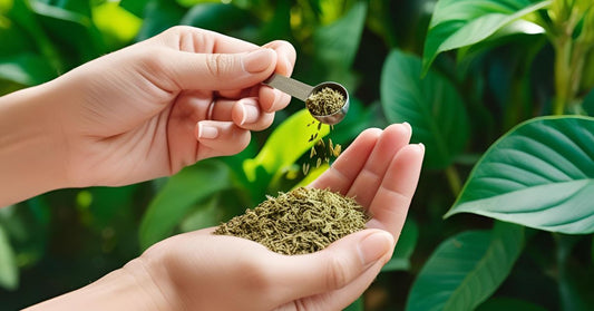 Best Ayurvedic Medicine
