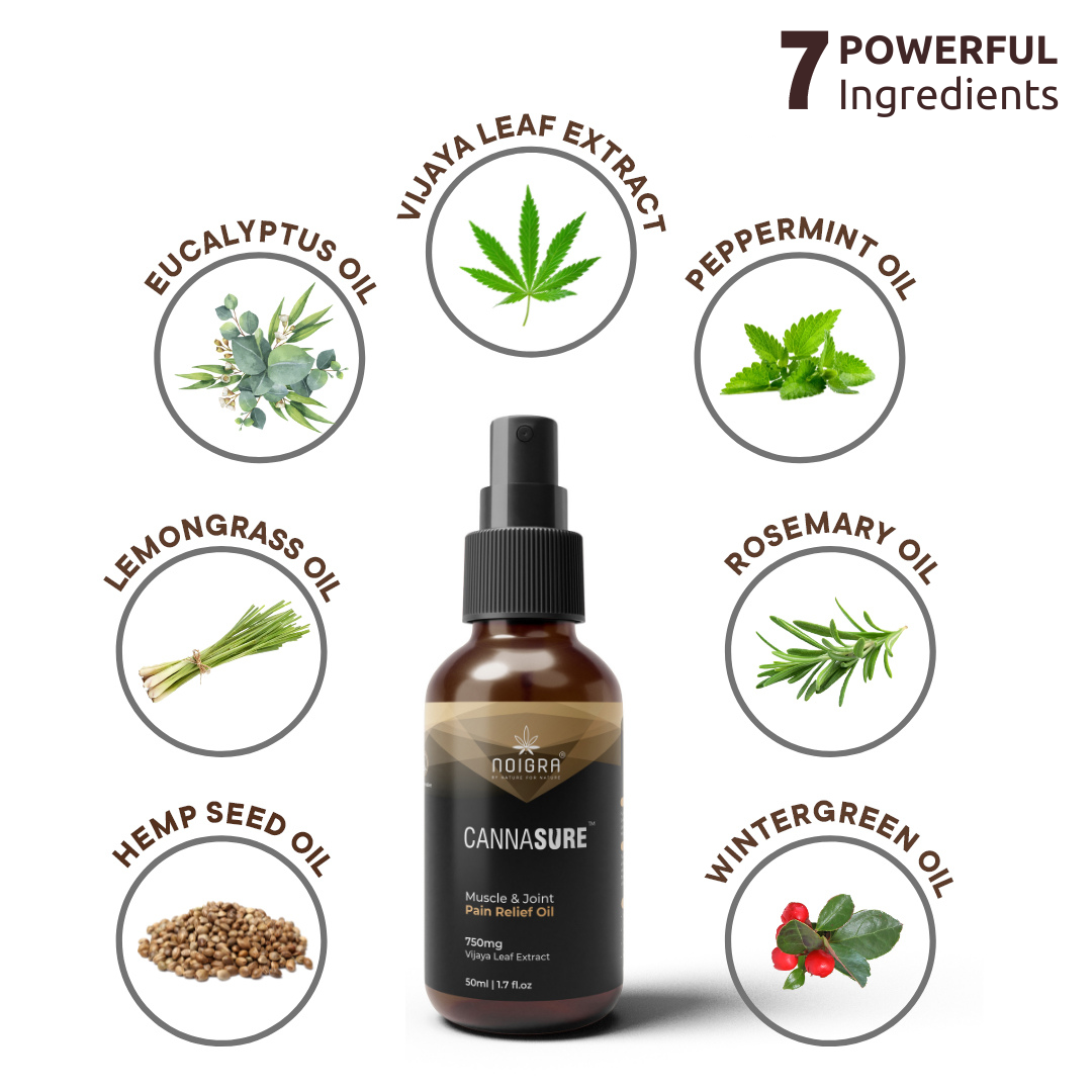 Cannasure Muscle & Joint Pain Relief Oil