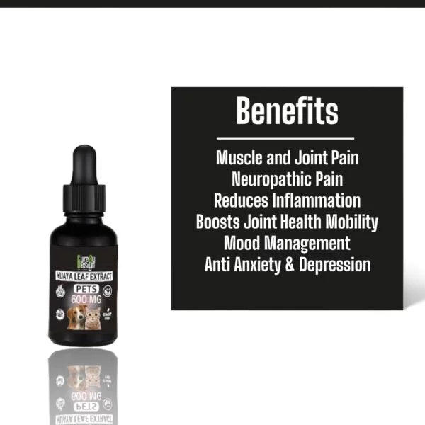 Hemp Oil for Pets 600mg Full Spectrum CBD