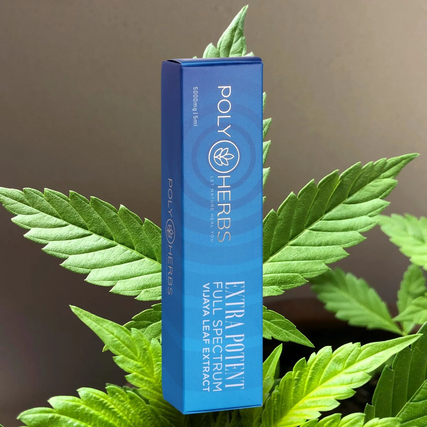 PolyHerbs Extra Potent Vijaya Leaf Extract Syringe 5000mg – 5ml RAW