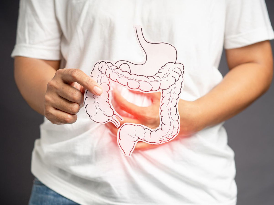 Lavan Bhaskar Churna for Gut Health