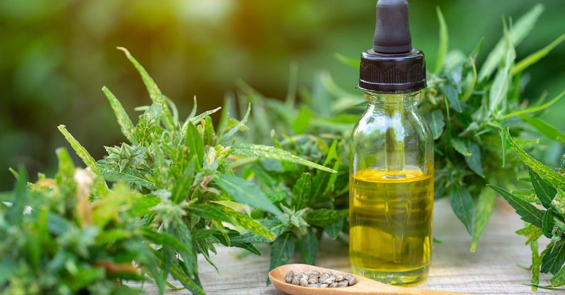 Legally Importing Cannabis Oils from the Himalayan Region