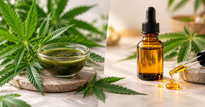 What Is Vijaya Leaf Extract? How Is It Different From Vijaya Oil?