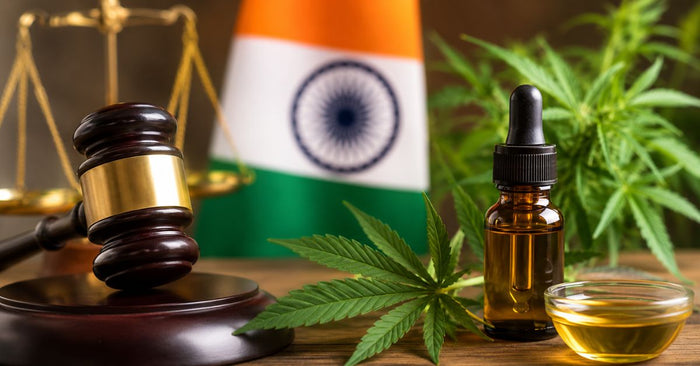 Is Cannabis Oil Legal in India? Everything You Need to Know
