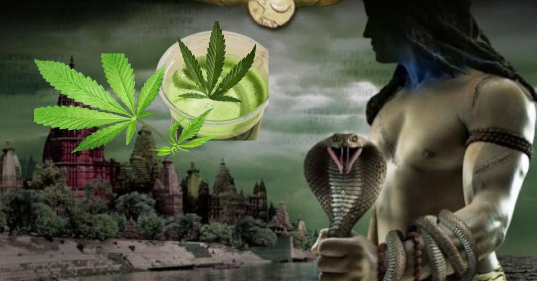 Lord Shiva and Bhang: Is There Really a Connection?