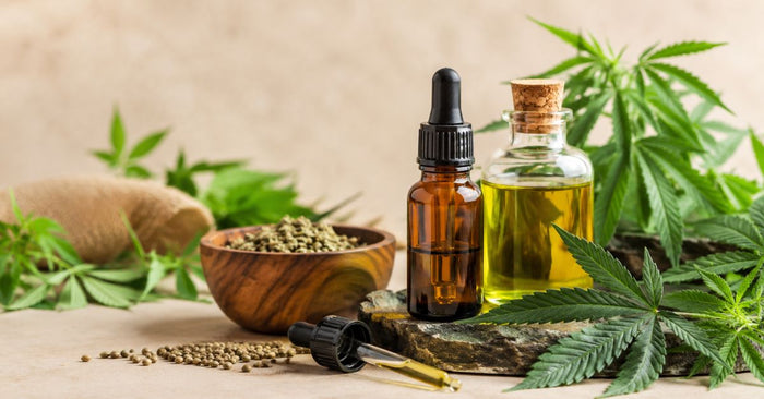 Best Cannabis Oil in India: What Should You Look For?
