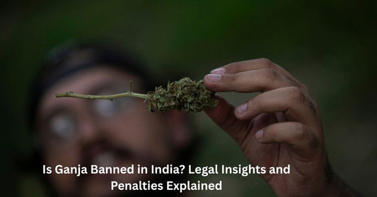 Is Ganja Banned in India? Legal Insights
