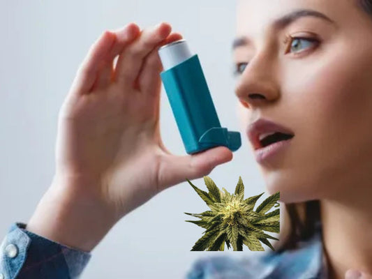 Cannabis for Asthma Patients