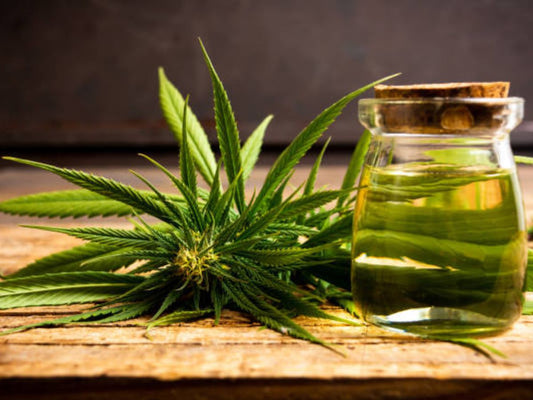 Benefits of Cannabis-Infused Medicines for the Wellness