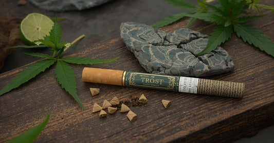 Know About India's Expensive Cigarette: Trost's Premium Hemp Rollen