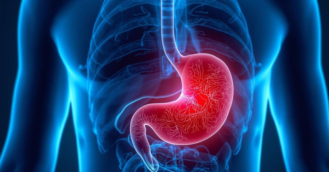 CBD For Gastritis Pain Relief