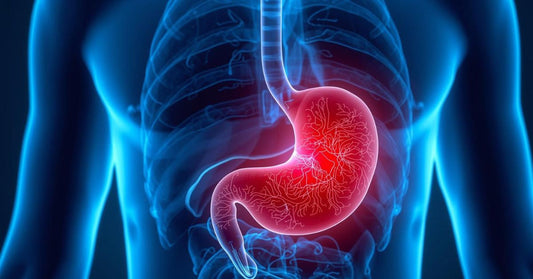 CBD For Gastritis Pain Relief