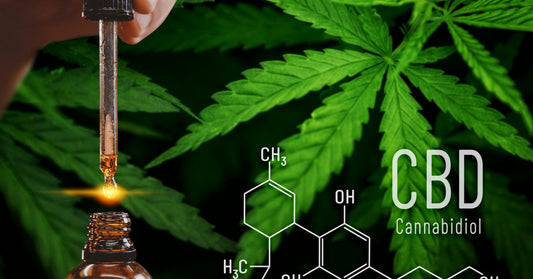 Ayurvedic cannabis from India