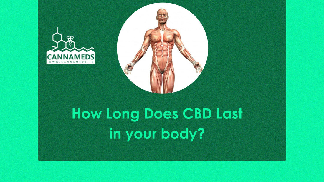 How Long Does CBD Last in your body?