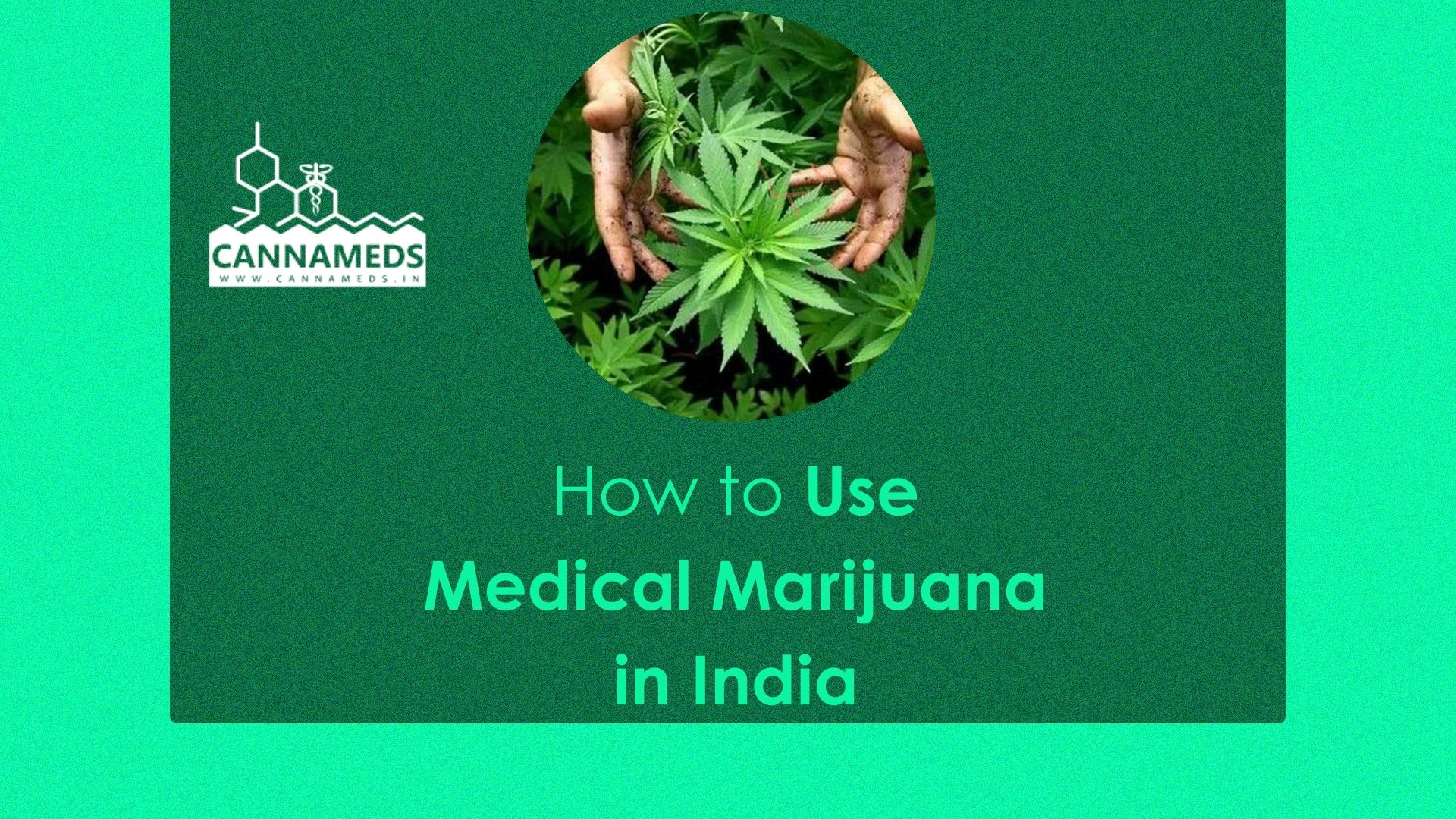 research paper on marijuana in india