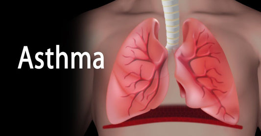 ayurveda for asthma