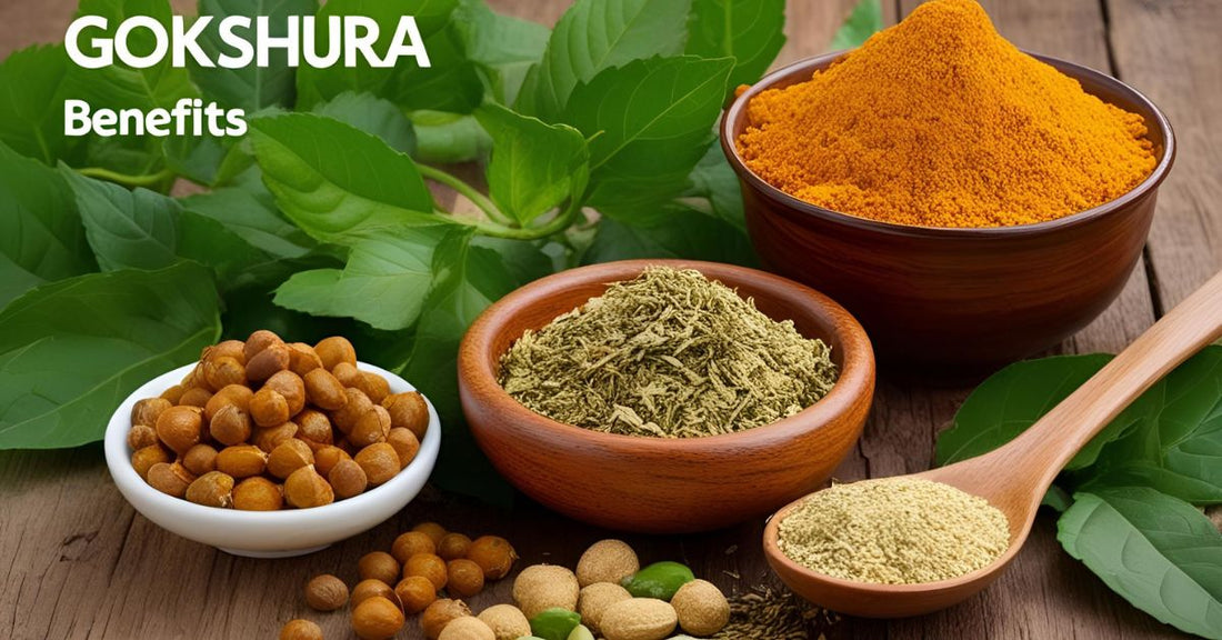 Gokshura Benefits