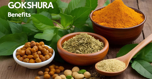 Gokshura Benefits