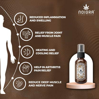 Noigra Painzen Pain Relief Oil