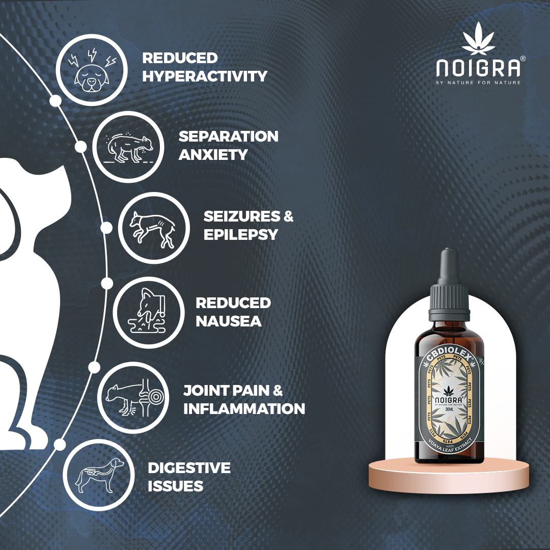 Noigra CBDILOEX for Pets