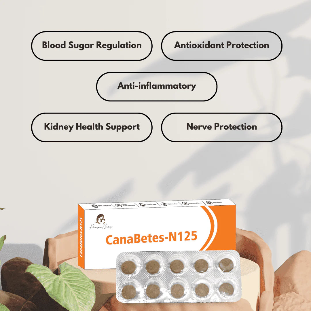 Paarmi Cares- CanaBetes-N125 (For Diabetes) – CannaMeds India