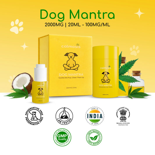 Calmosis Dog Mantra | India's Premium Vet-Approved THC-Free CBD Oil for Dogs | 2000 MG / 20 ML THC-Free Formula Chicken Flavour Vet-Approved | Lab-Tested